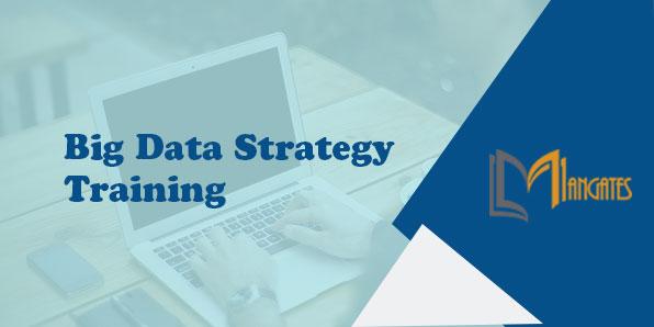 Big Data Strategy 1 Day Training in York