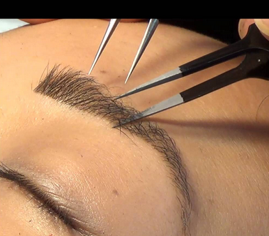 Marietta: Eyebrow Extensions Certification, ReAl TrAiNiNg By A rEaL sChoOl