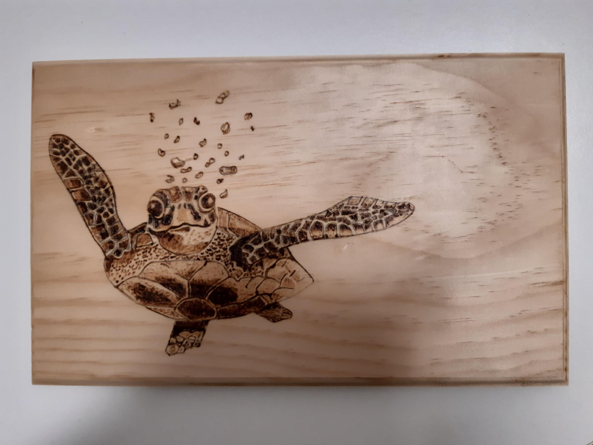 Pyrography entry level short course