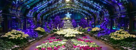 Niagara Falls Floral Showhouse - It's Bloomin Pretty! Tickets, Multiple ...