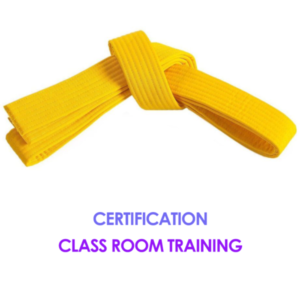 Lean Six Sigma Yellow Belt Level (1 Day) - Adelaide CBD Classroom