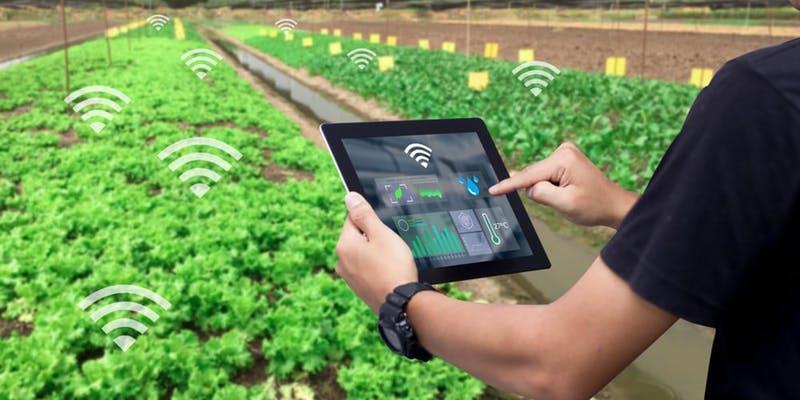 Develop a Successful Smart Farming 2.0 Tech Entrepreneur Startup Today!