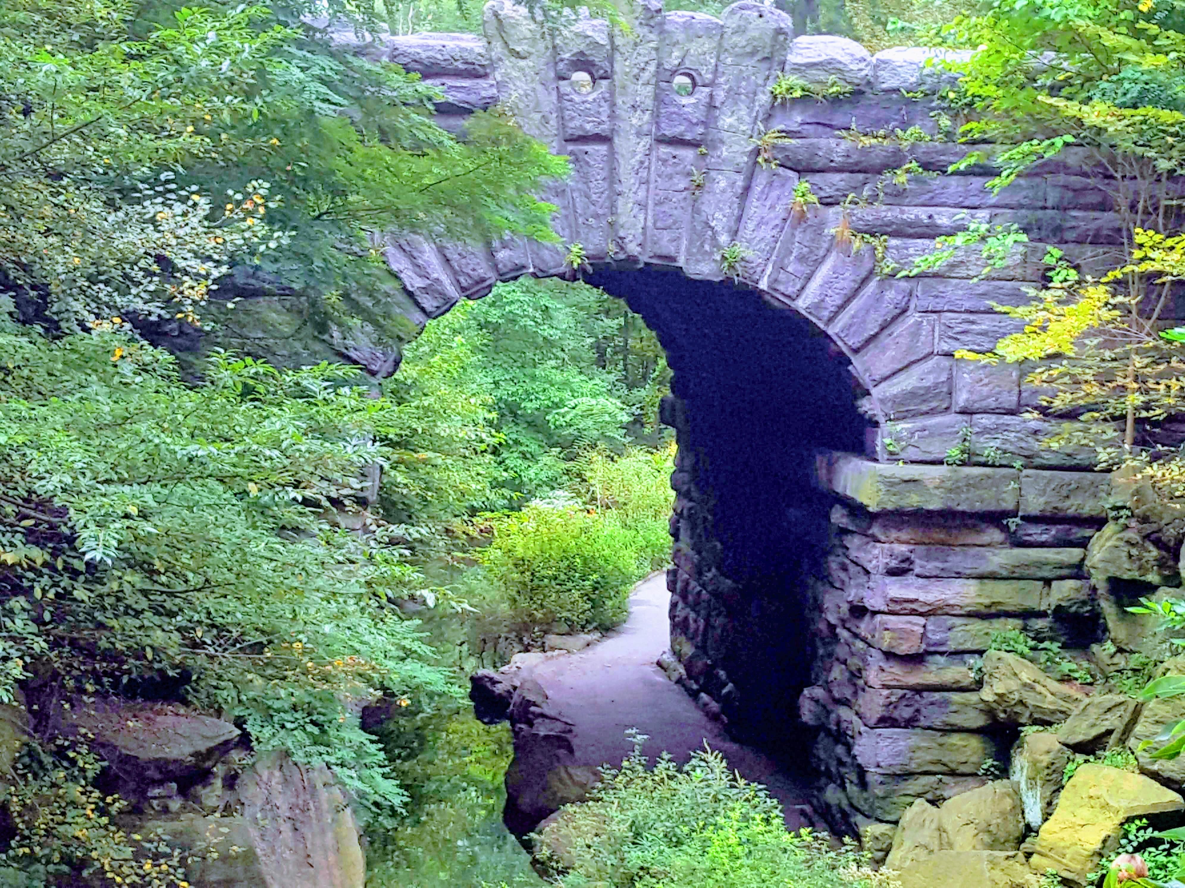 Secrets Of Central Park North Walking Tour - 21 JUL 2020