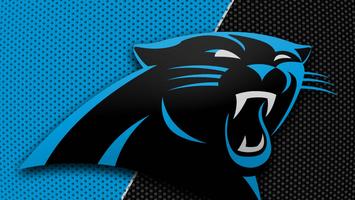 carolina panthers virtual panther