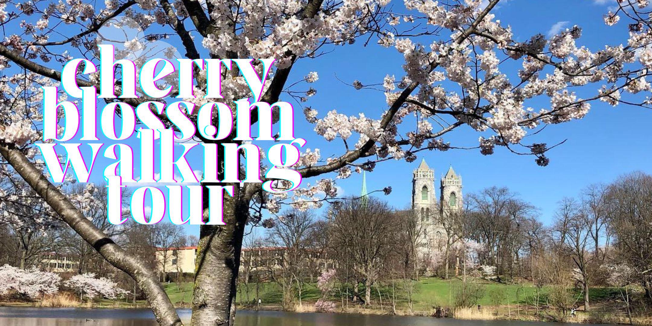 Newark Cherry Blossom Festival 2024 Meg Larina