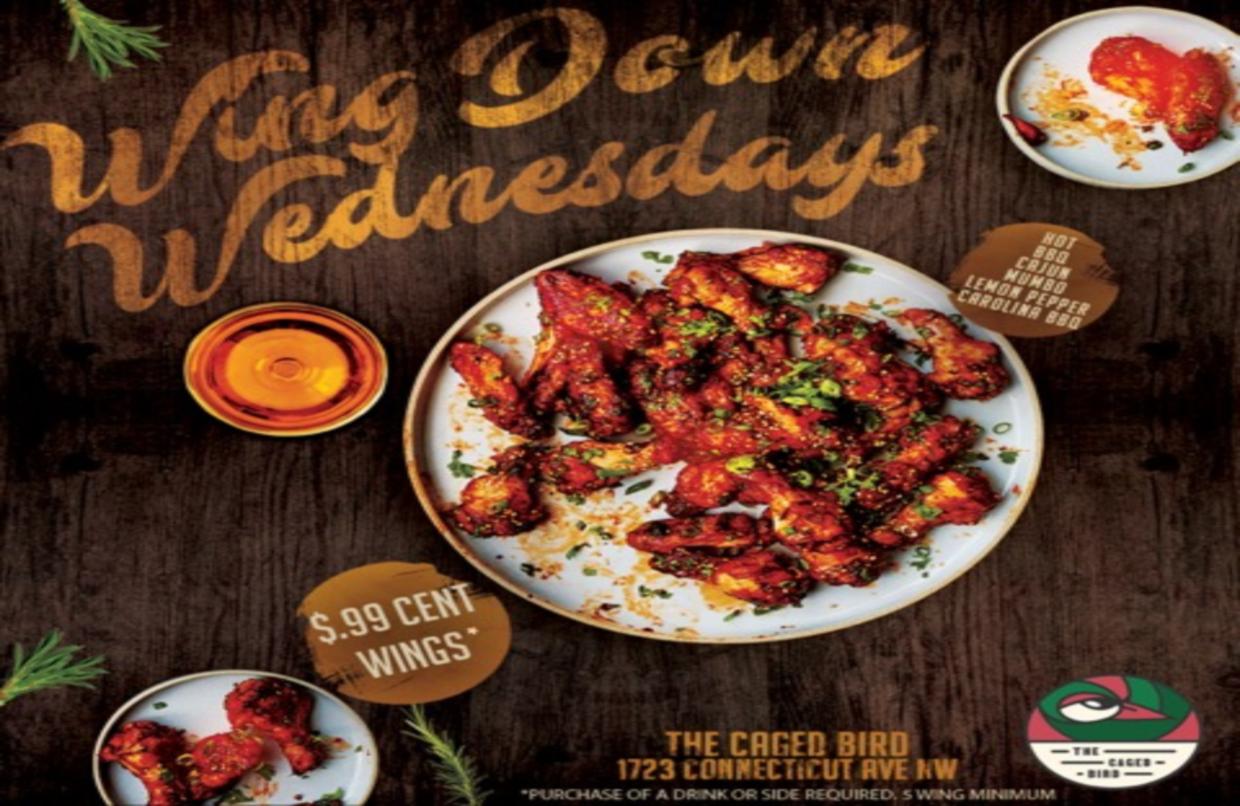 Wing Down Wednesdays | The Caged Bird