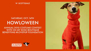 Bar Dog Wine's HOWL-oween dog costume contest features adoptable pups