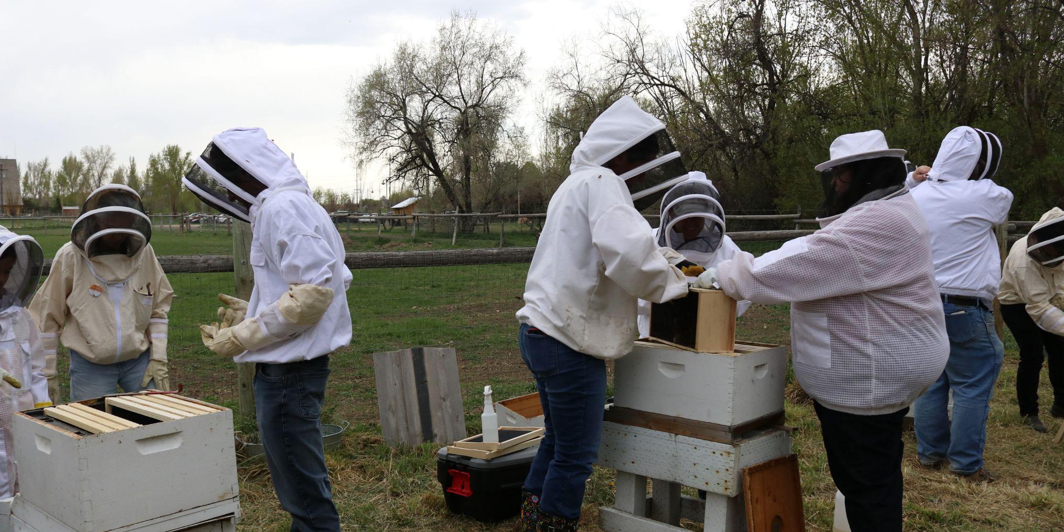 beekeeper-studio/ at master · beekeeper-studio/beekeeper-studio