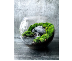 Terrarium workshop Tickets, Sat, Apr 27, 2024 at 3:30 PM