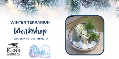 Light Up Living Moss Enclosed Terrarium Workshop (Intercourse, PA) Tickets,  Sat, Feb 17, 2024 at 11:00 AM