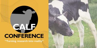 The Calf Conference - 