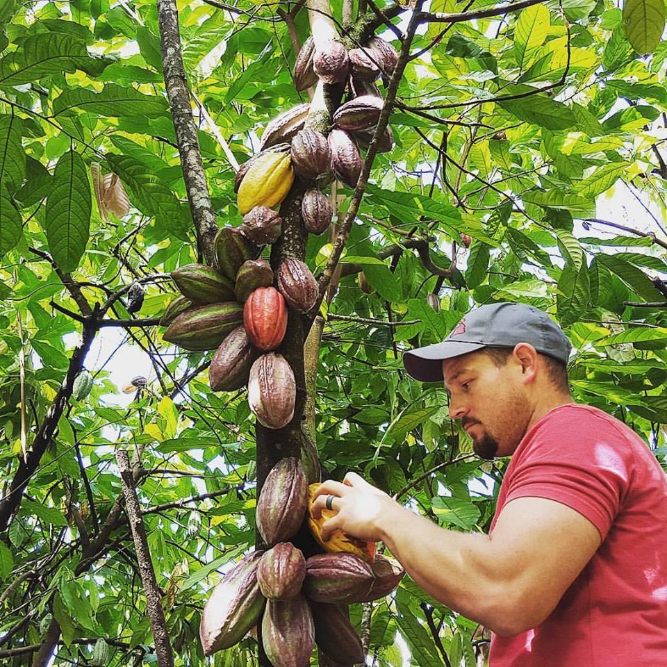 Kona Cacao Orchard Tour and Chocolate Tasting