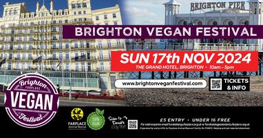 Brighton Valley Festival Series 2024 - Ticket Prices & Festival