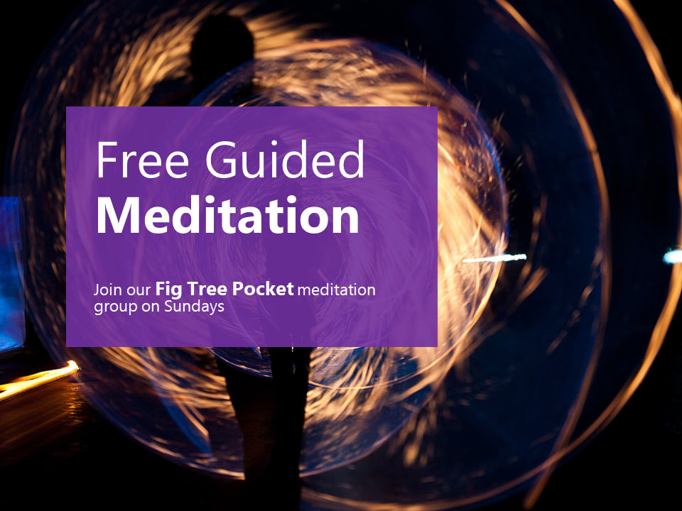 [Fig Tree Pocket] Free Guided Meditation - Heartfulness