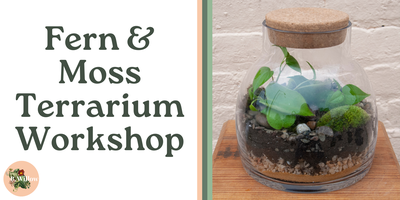 Fern and Moss Terrarium Workshop Tickets Sun Apr 21 2024 at 11