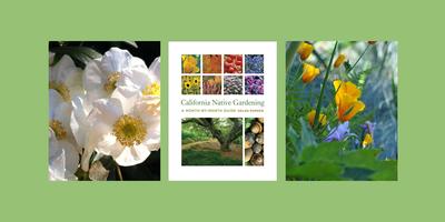 Helen Popper, author of CALIFORNIA NATIVE GARDENING Tickets, Sat, Apr ...