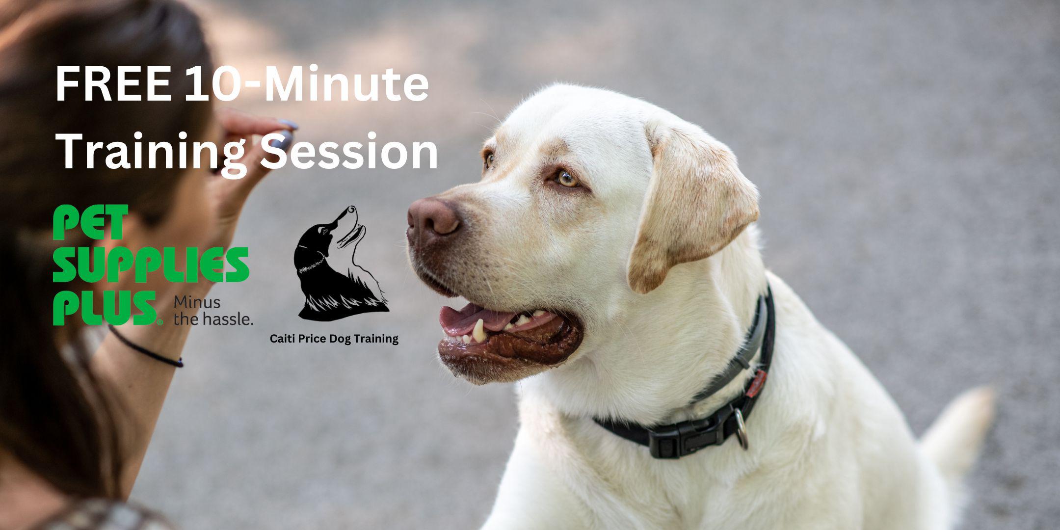 FREE Dog Training Sessions with Caiti Price Dog Training Tickets