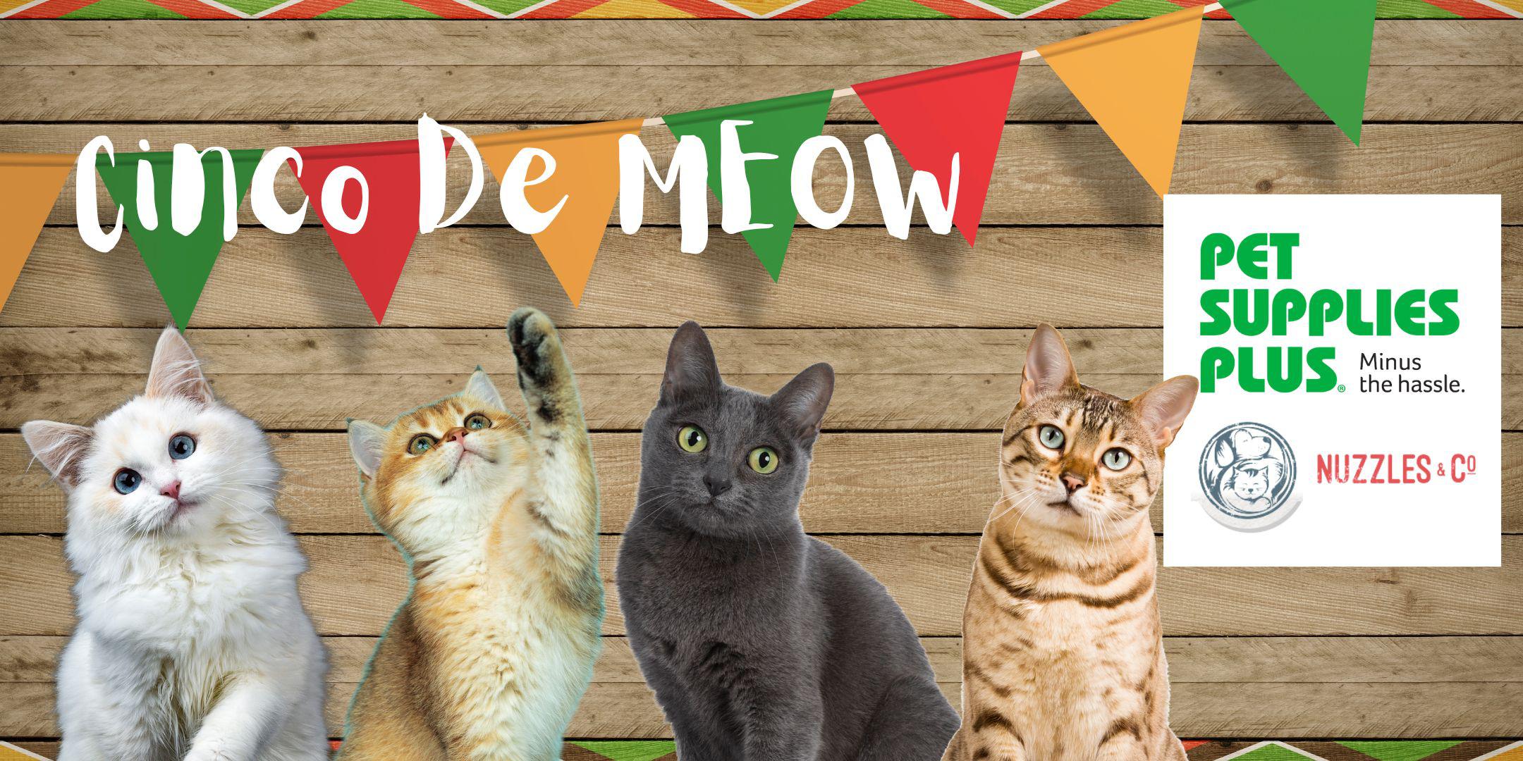 Cinco De MEOW at Pet Supplies Plus Tickets Sun May 5 2024 at 1