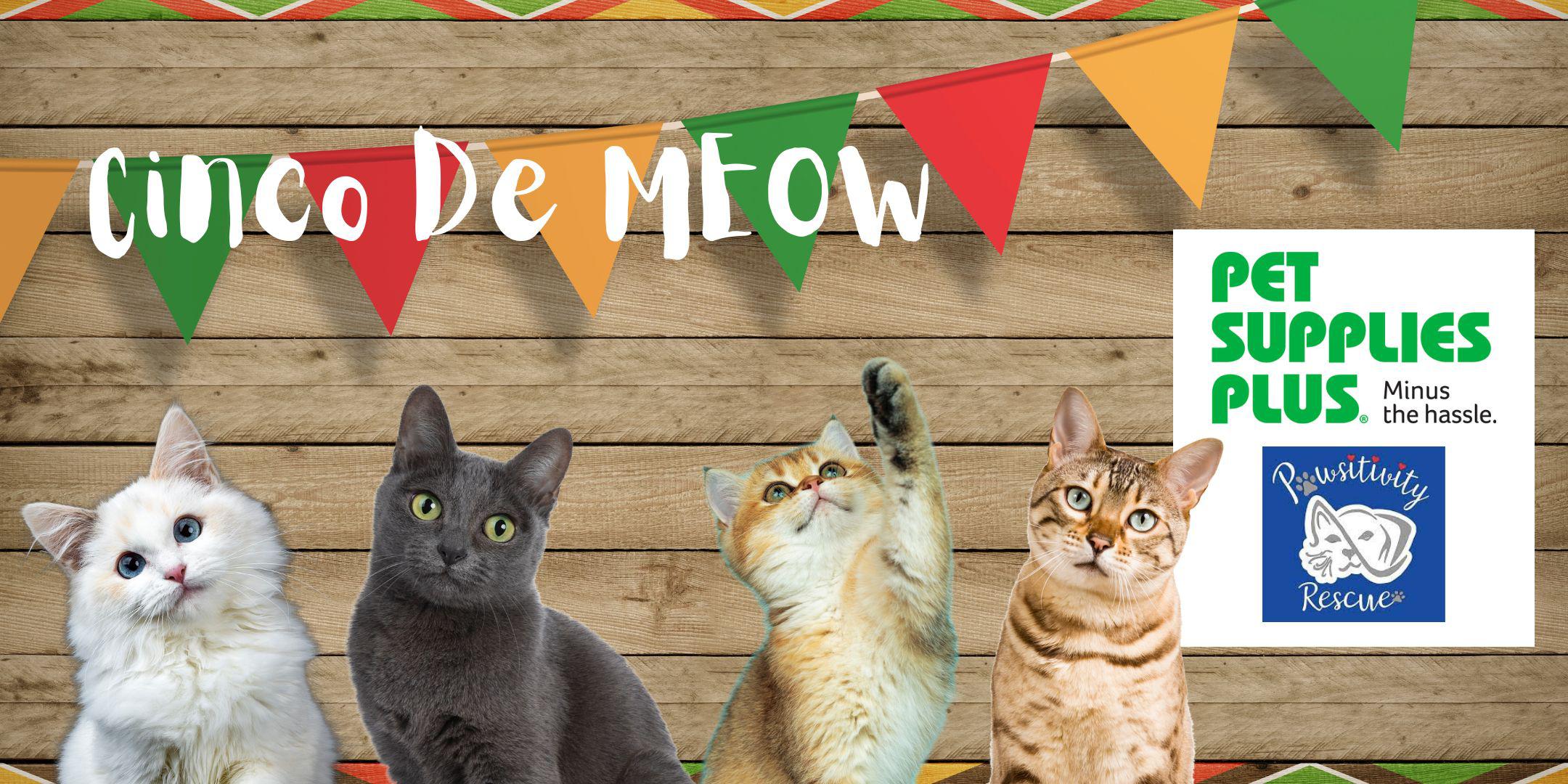 Cinco De MEOW at Pet Supplies Plus Tickets Sun May 5 2024 at 12