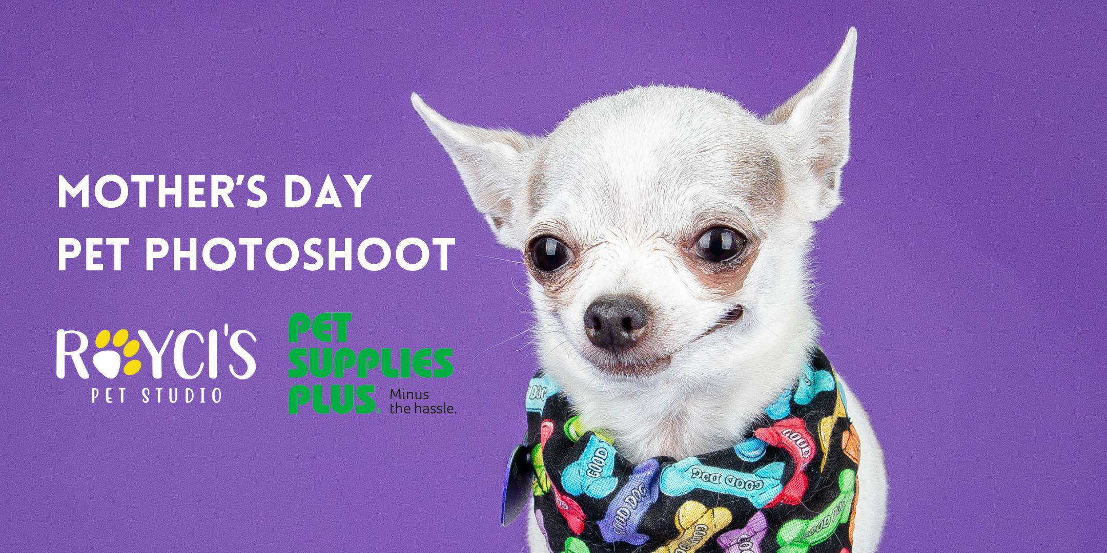 Mother s Day Pet Photoshoot At Pet Supplies Plus Tickets Sat May