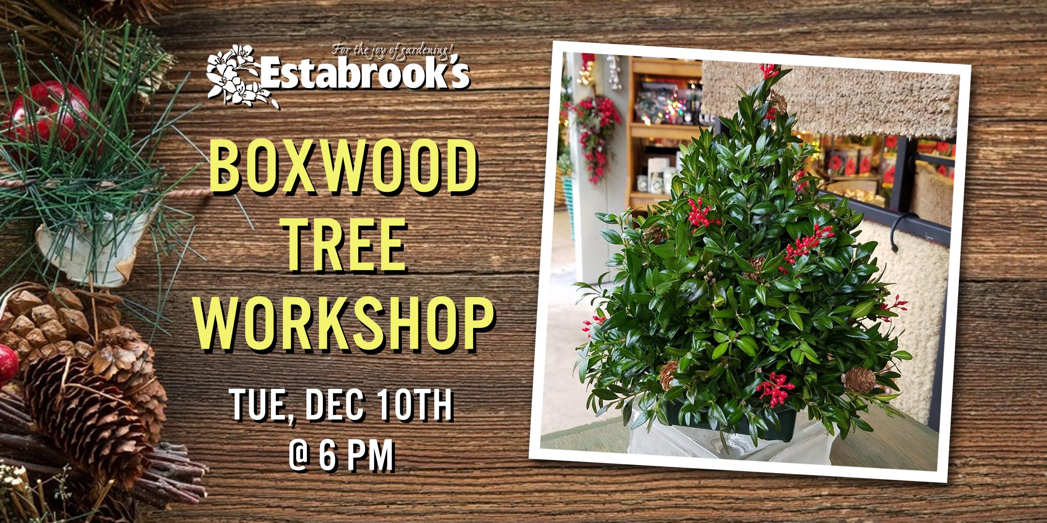 Boxwood Tree Workshop