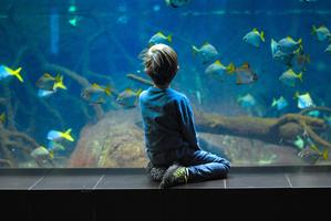 Library Under The Sea Tickets, Mon 29/07/2024 At 6:30 Pm | Eventbrite