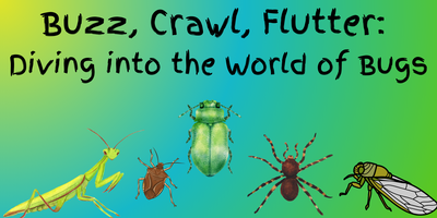 Buzz, Crawl, Flutter: Diving into the World of Bugs Tickets, Thu, Jul ...