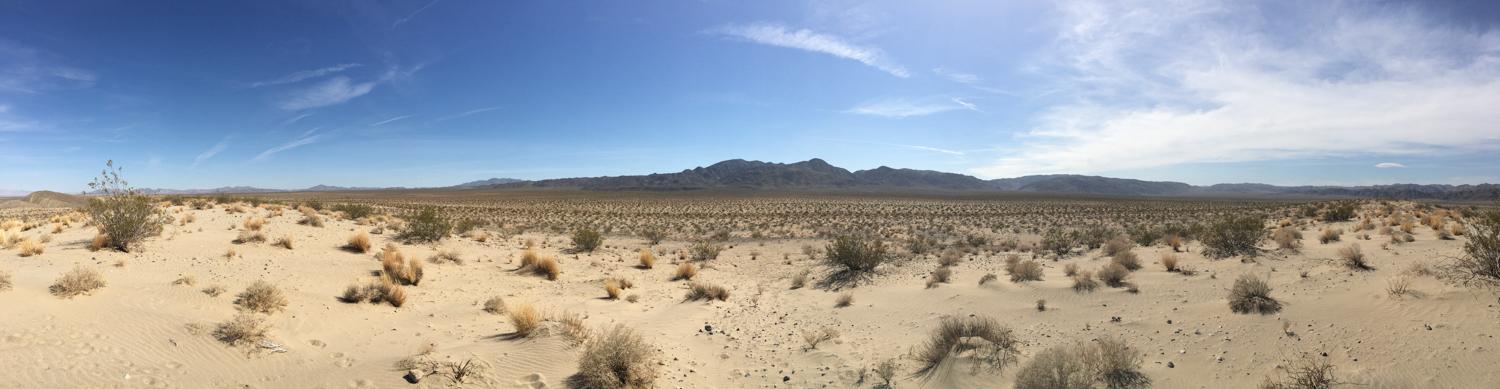Explore the Pinto Basin Sand Dunes Sp 2020