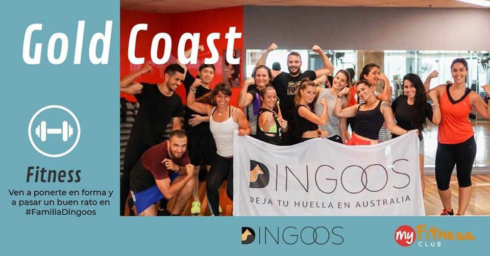 Dingoos Free Body Pump - Gold Coast
