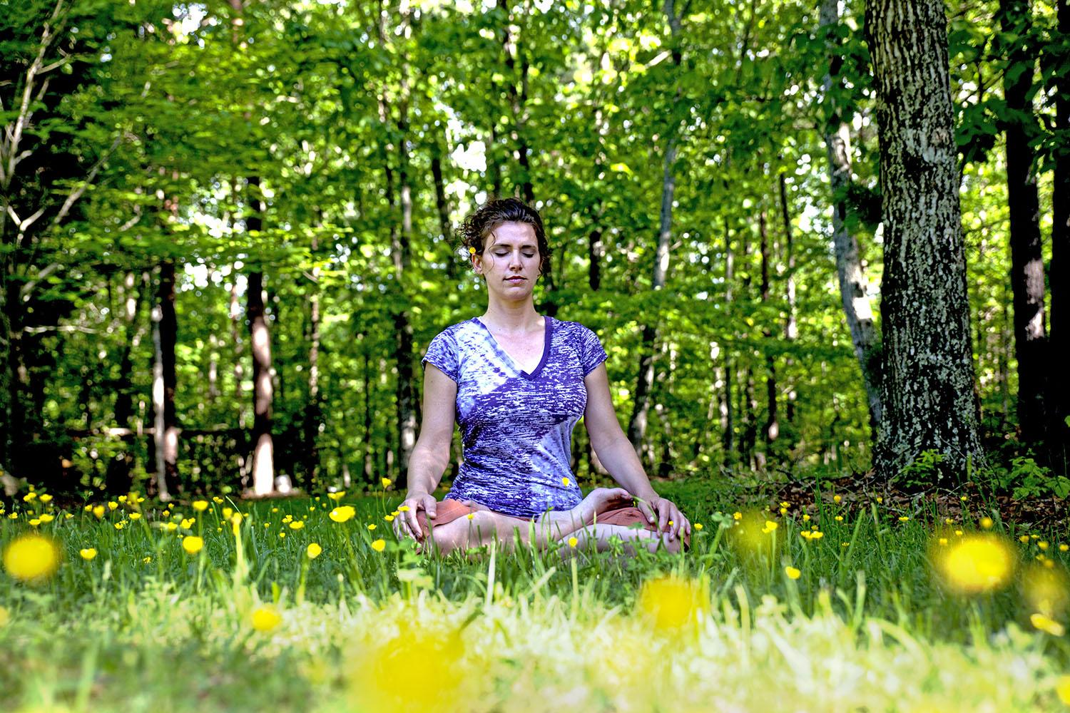 POSTPONED—EcoWalk: Meditation in the Parks at Red Bug Slough