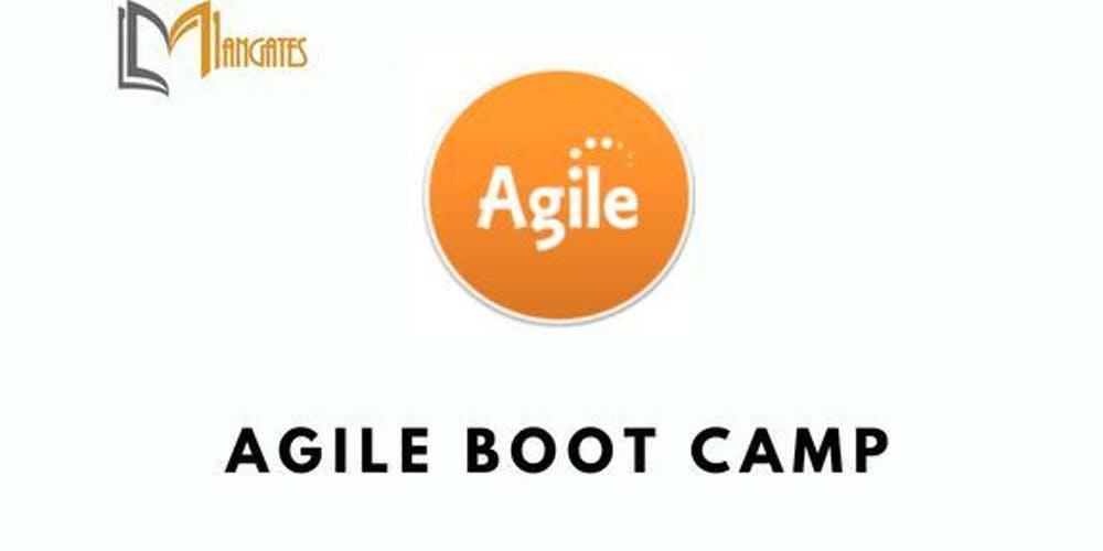 Agile 3 Days Bootcamp in Los Angeles, CA