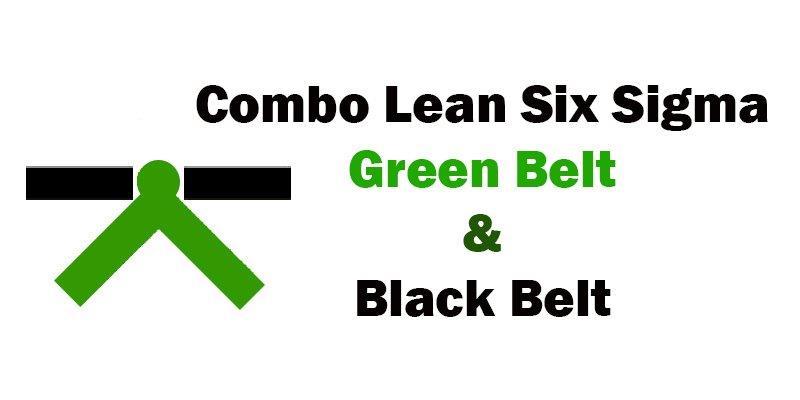 Combo Lean Six Sigma Green Belt and Black Belt Certification Training in Minneapolis, MN 