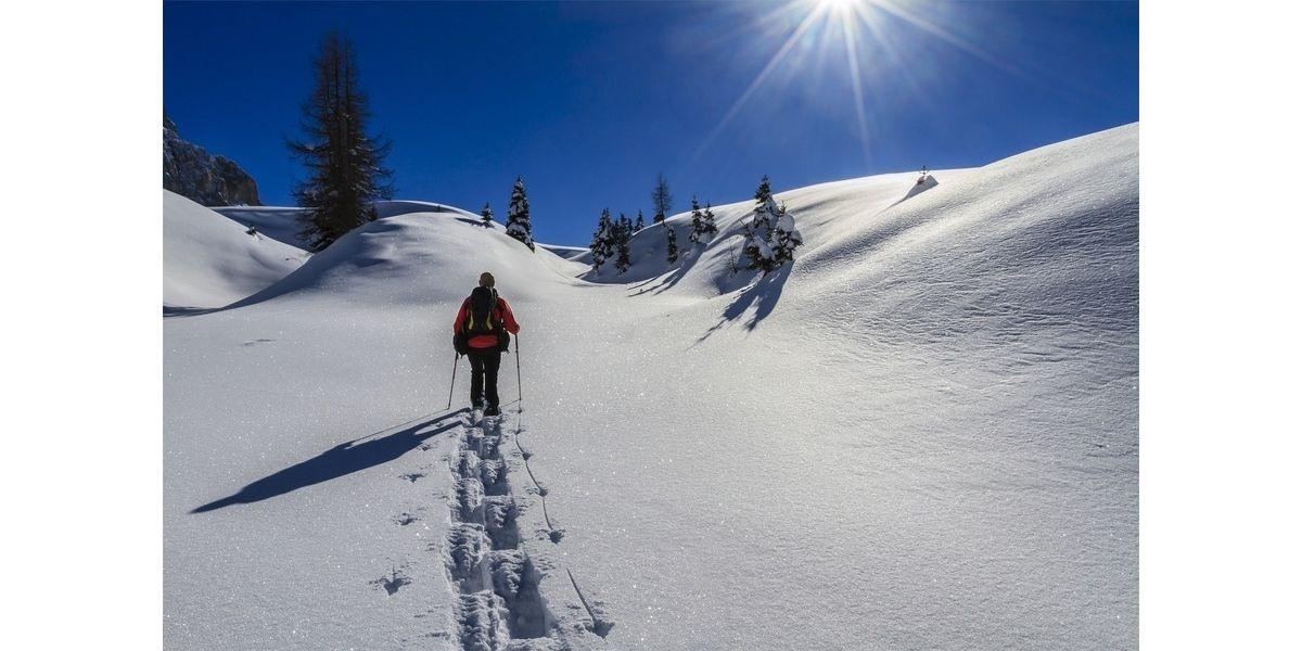 Guided Snowshoe Trip (03-01-2020 starts at 8:00 AM)