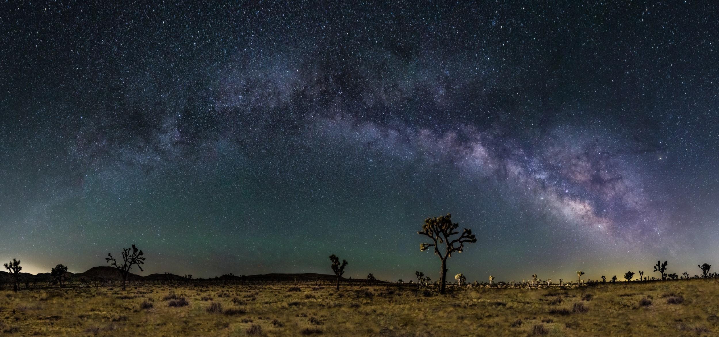 Joshua Tree National Park Night Skies Photography Workshop