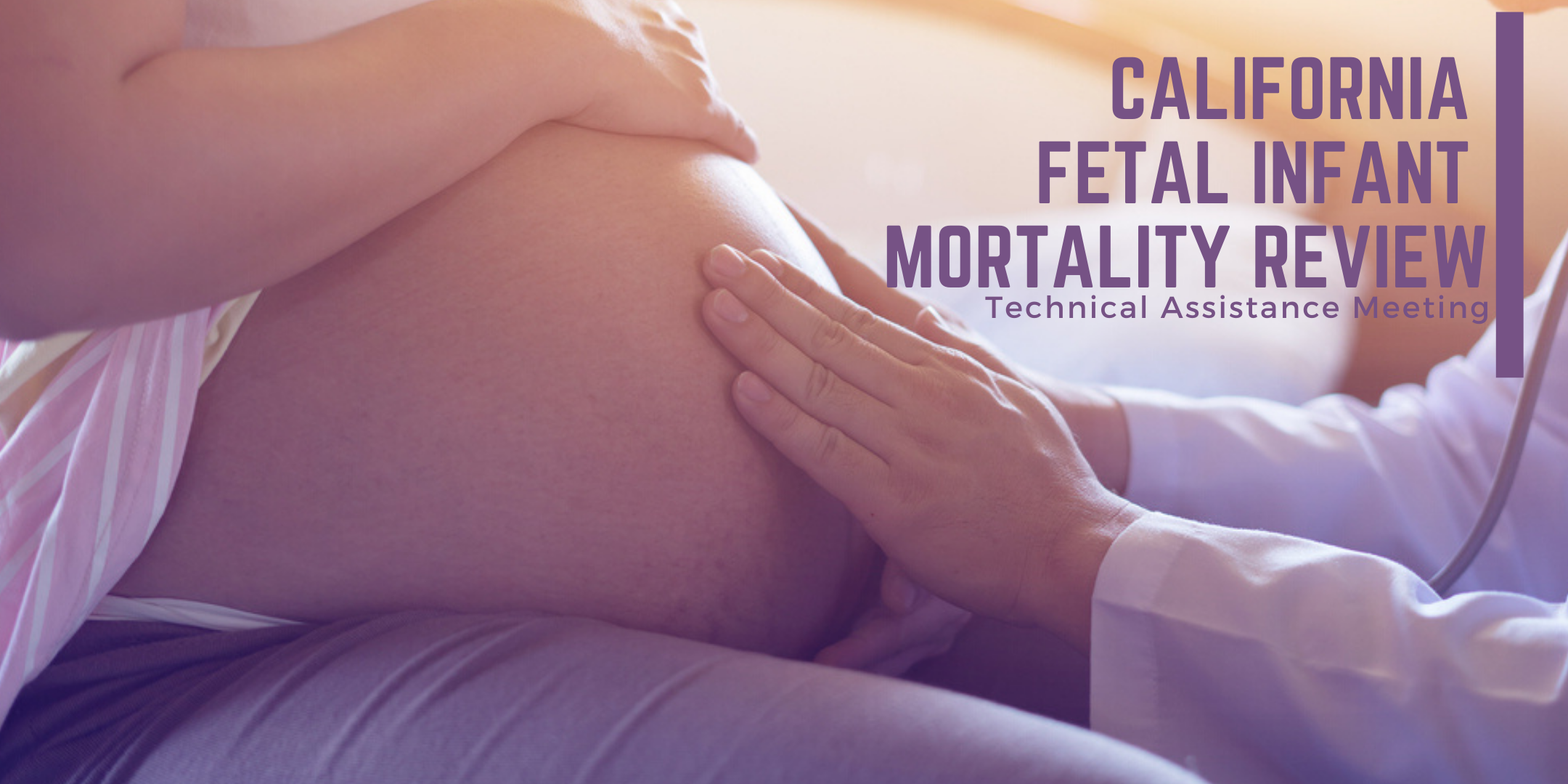 Fetal and Infant Mortality Review (FIMR) Technical Assistance Meeting