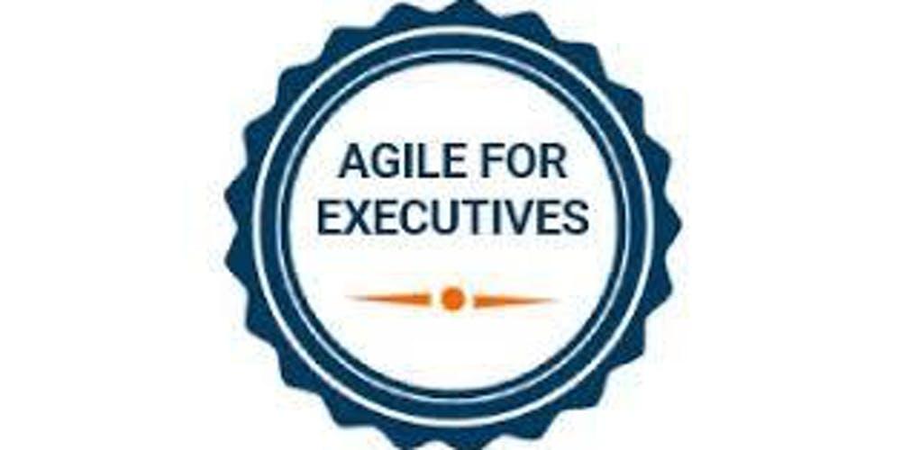 Agile For Executives 1 Day Training in Adelaide