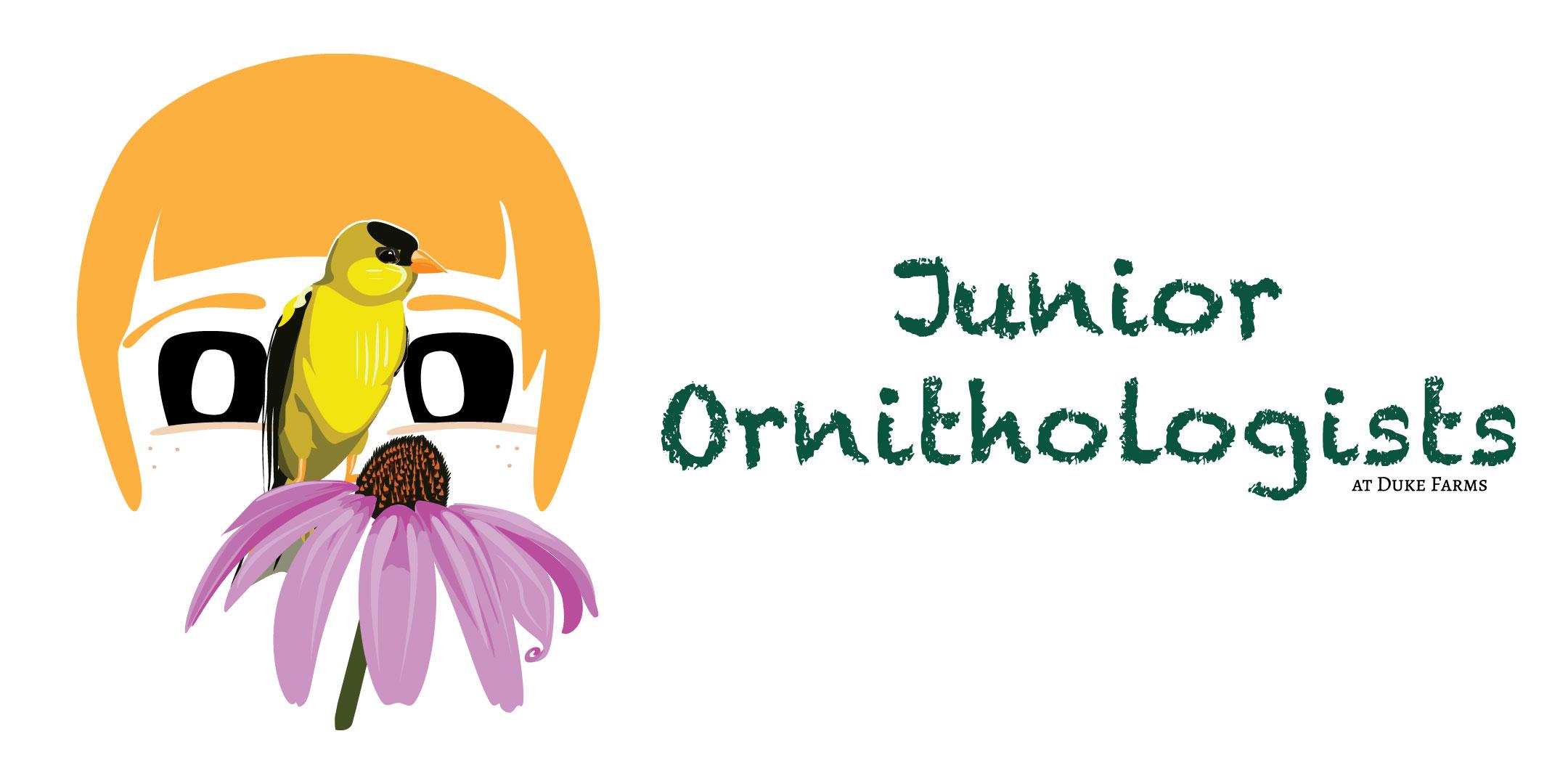 Junior Ornithologists 2020