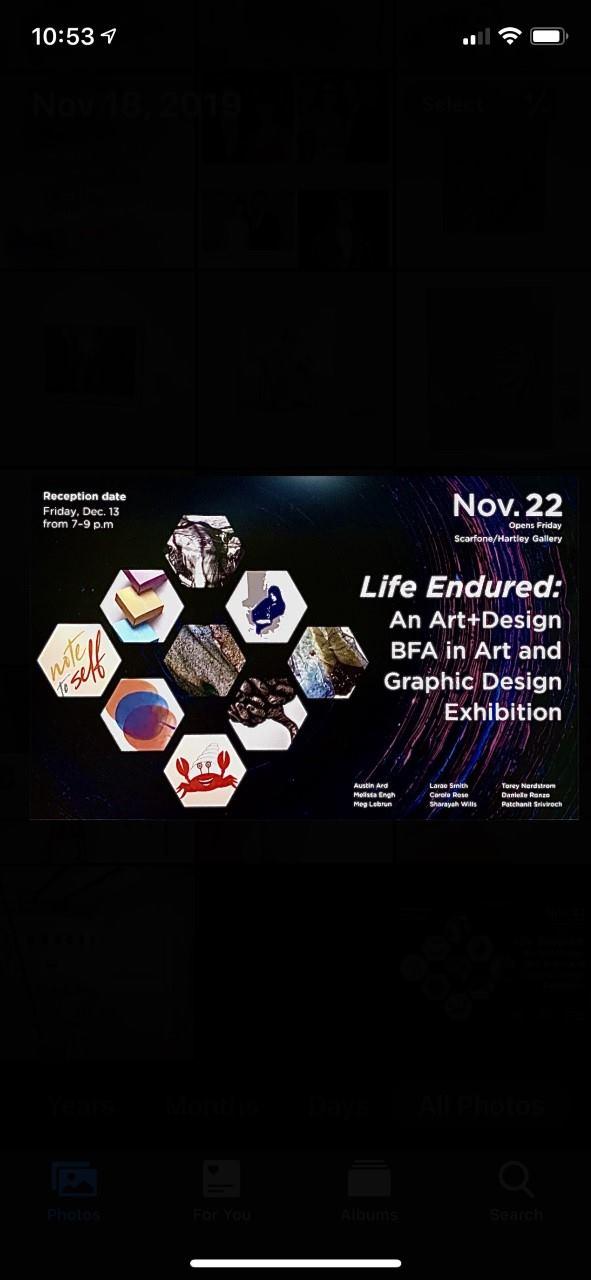 Life Endured: BFA in Art and Graphic Design Exhibition