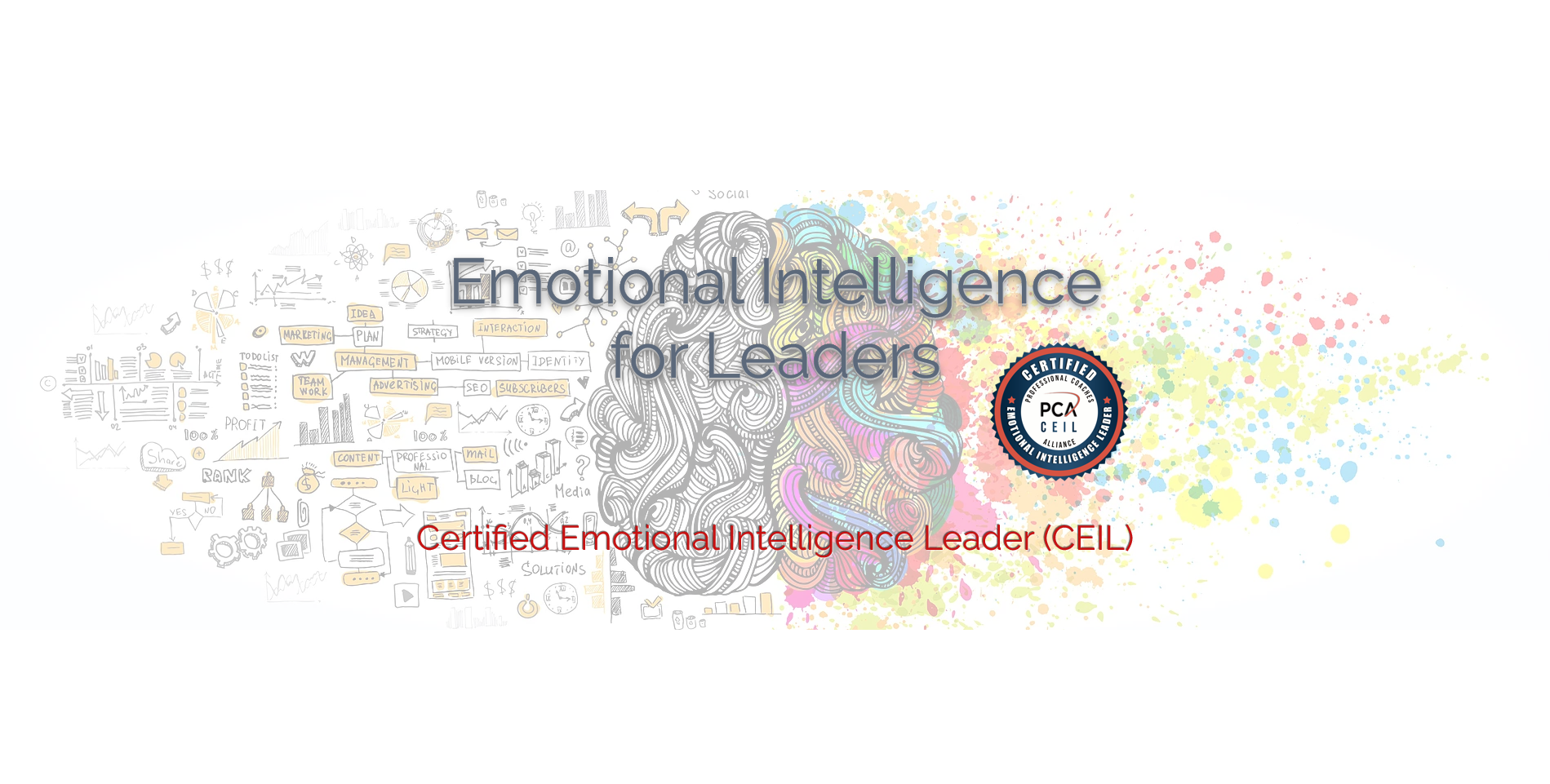 Certified Emotional Intelligence Leader (CEIL) 2 Day Workshop - Houston