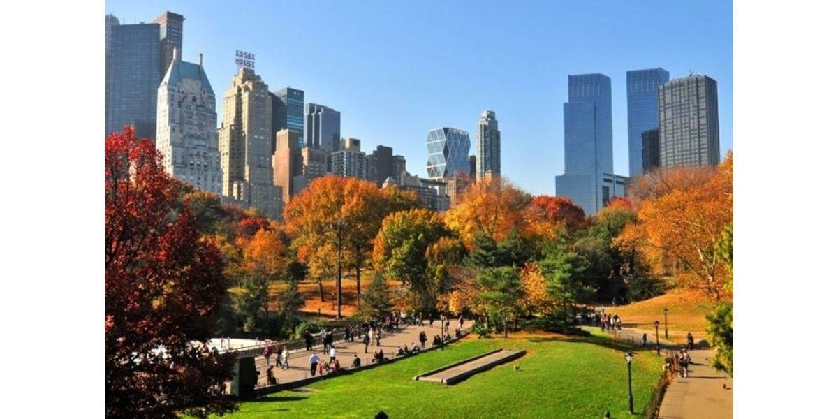 CENTRAL PARK WALKING TOURS (12-13-2019 starts at 12:00 PM)