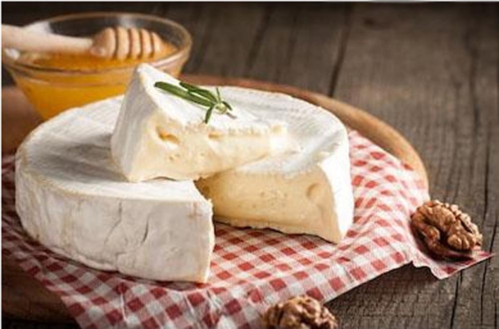 LEARN TO MAKE BRIE - A Bloomy rind Cheese