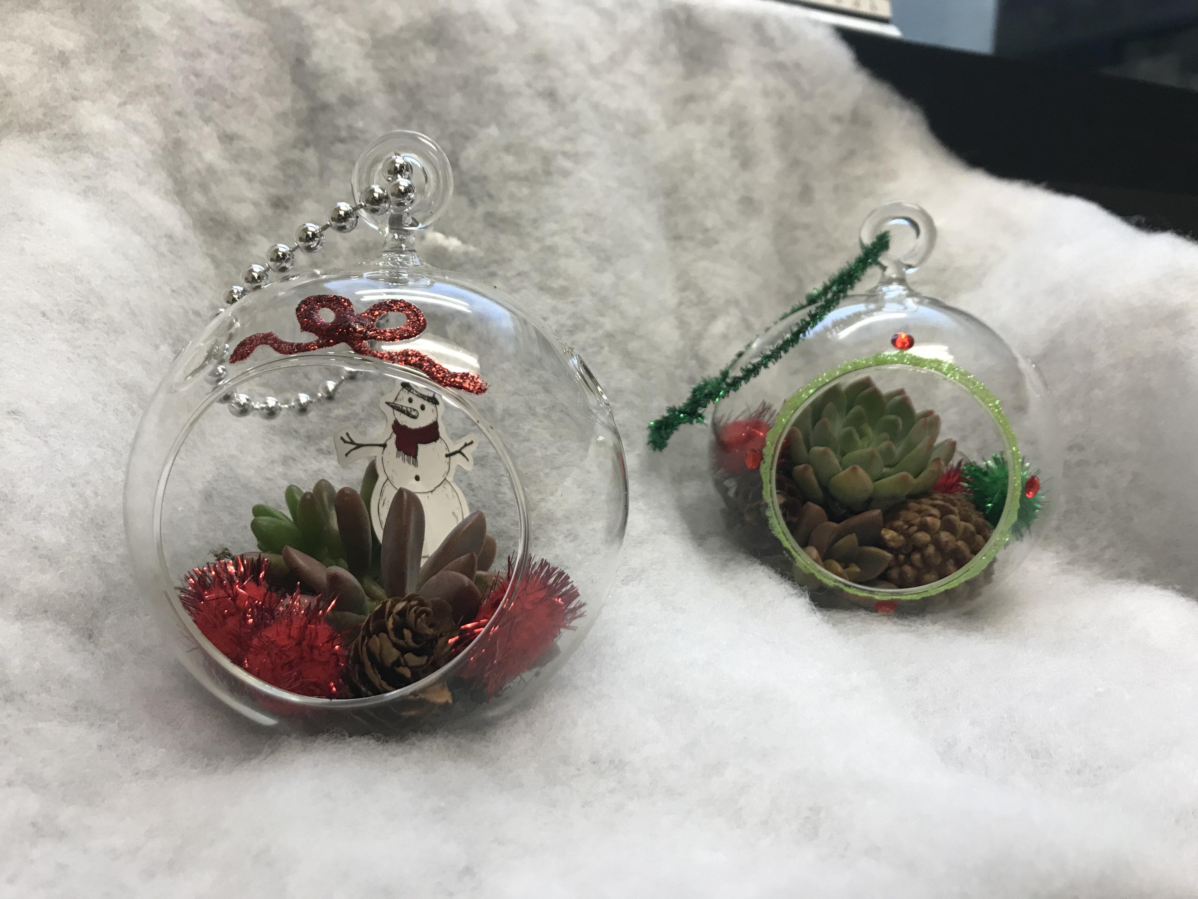Succulents & Sips: Holiday Ornament Craft Party