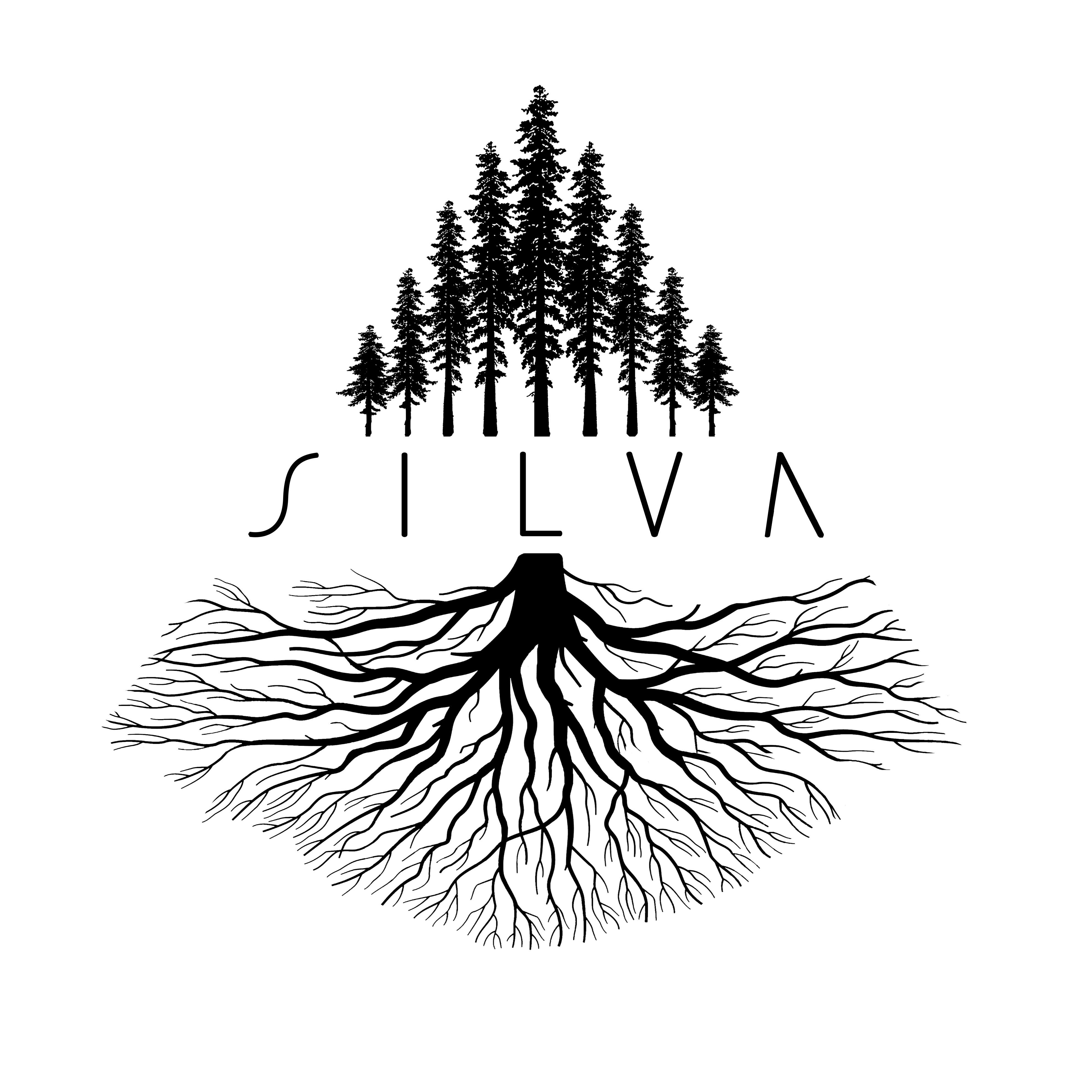 SILVA - The Story of Washington