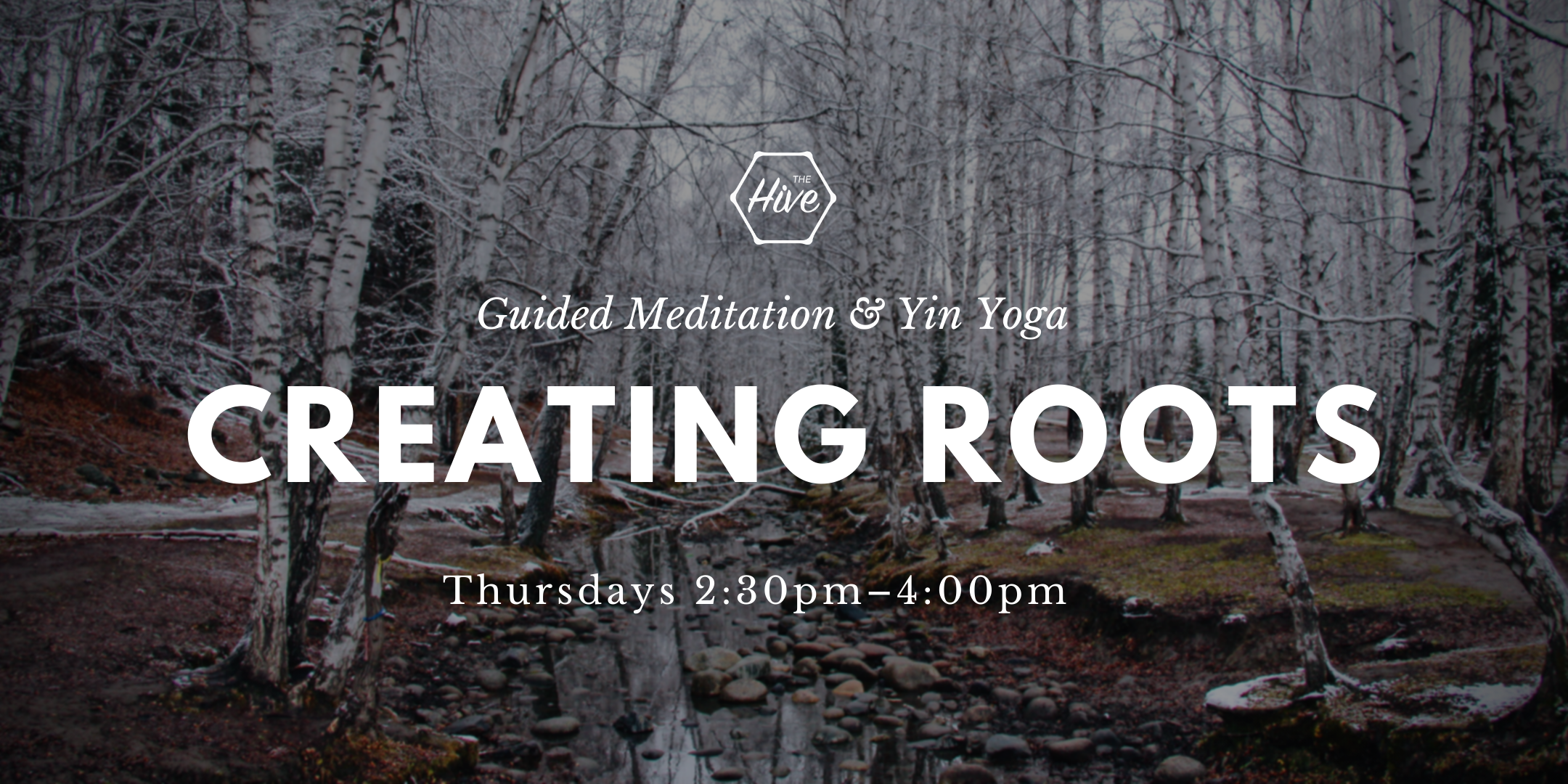 Creating Roots: Guided Meditation and Yin Yoga
