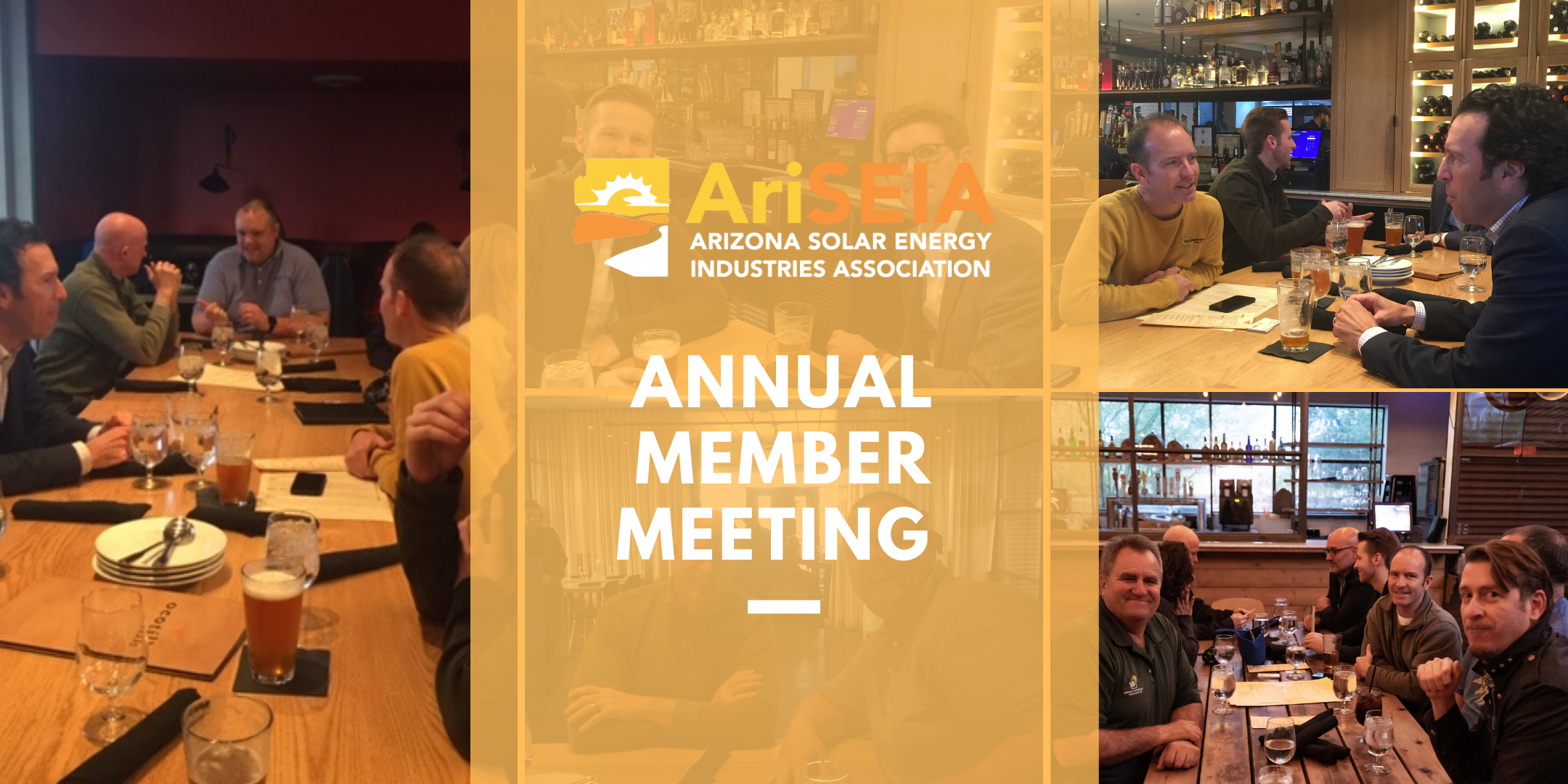AriSEIA Annual Member Meeting
