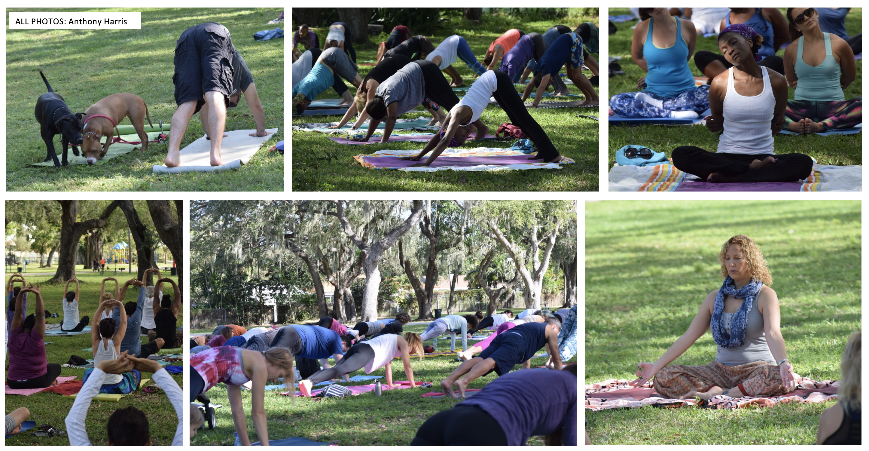 Community Yoga at Legion Park.