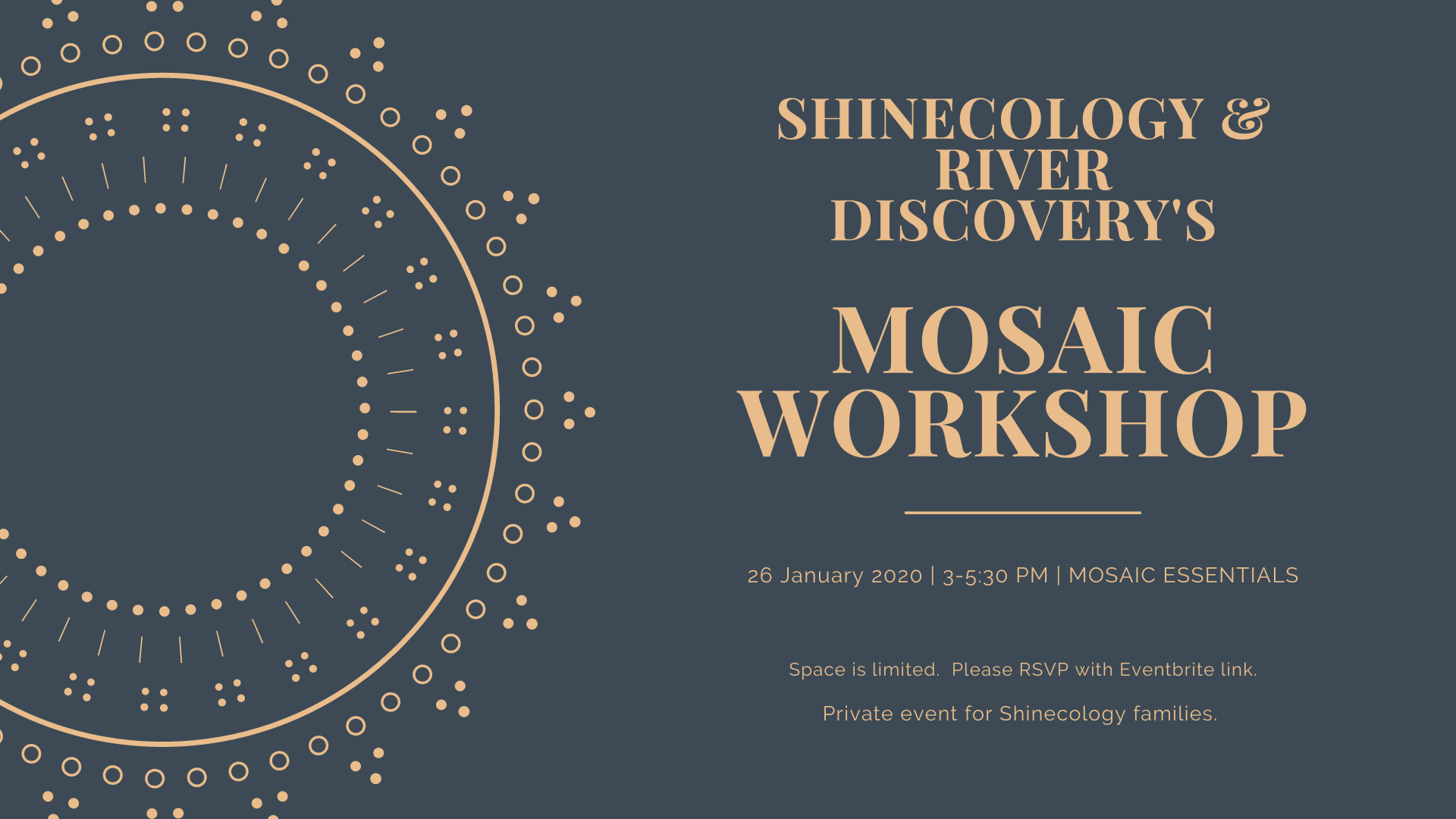Shinecology & River Discovery's Mosaic Workshop