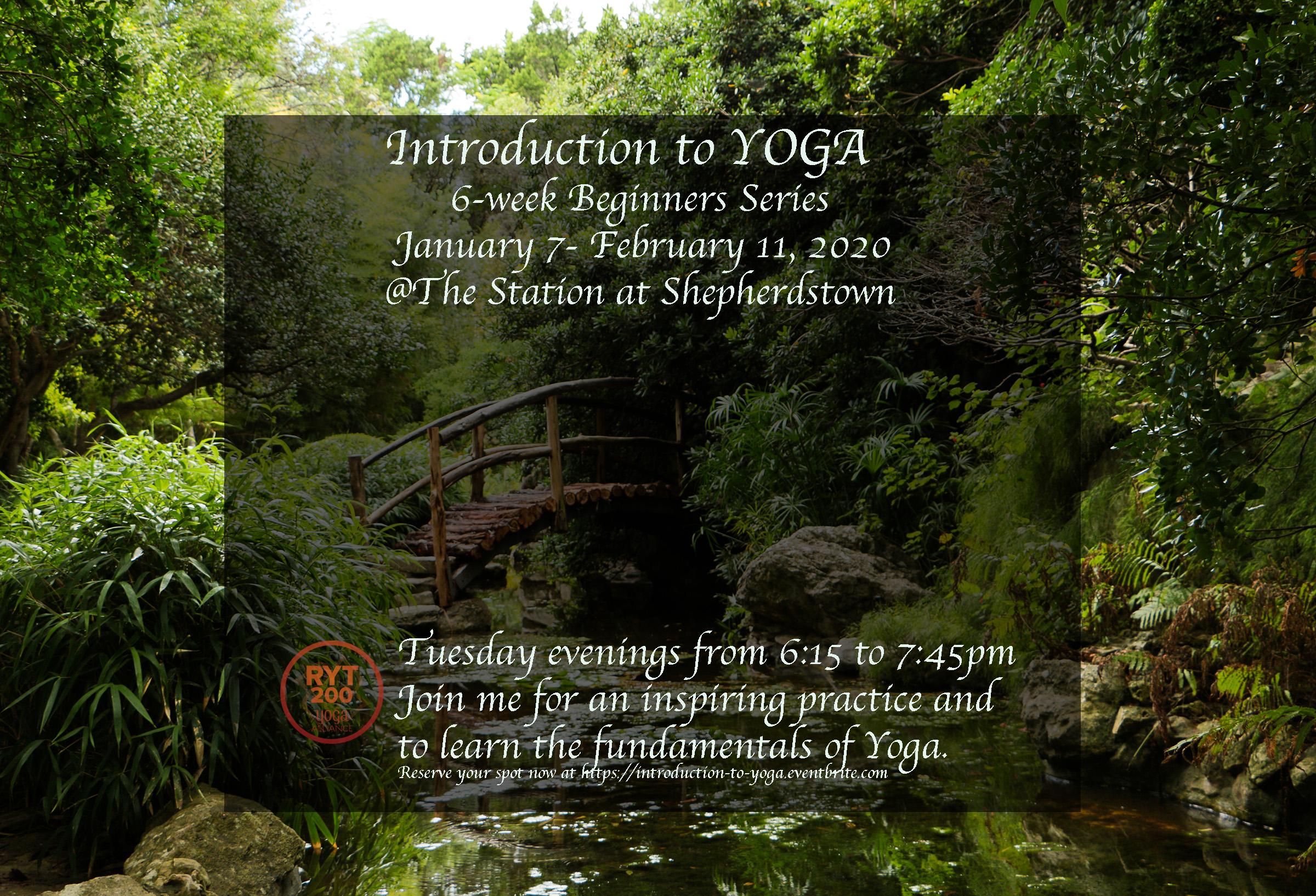 Introduction to Yoga: Beginners Series
