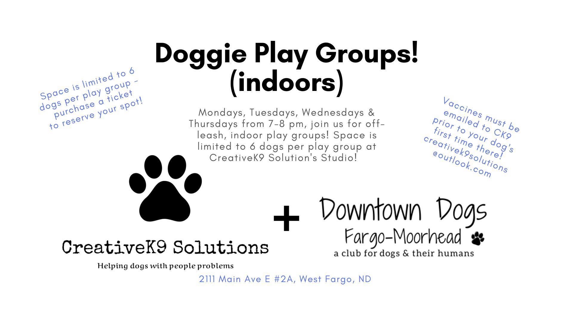 Downtown Dogs @ CreativeK9 Solutions - Private meet ups
