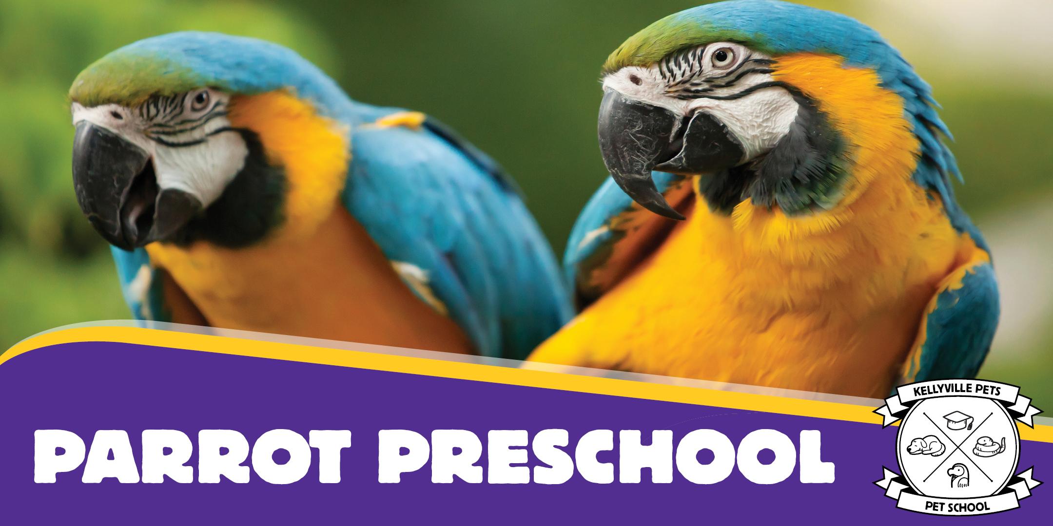 Parrot Preschool 2020